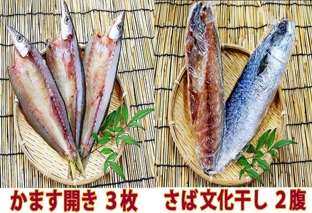 【久根崎善次郎商店】厳選！干物セット6種16枚 [0020-0098]