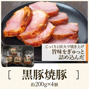 【B02104】ふるさと2選B 焼豚(約200g×4個・計800g)と餃子(12個入×10パック・計120個)のセット 鹿児島 国産 九州産 黒豚 豚肉 お肉 焼豚 餃子 冷凍 おかず ギフト 贈答 特別な日に【和田養豚】