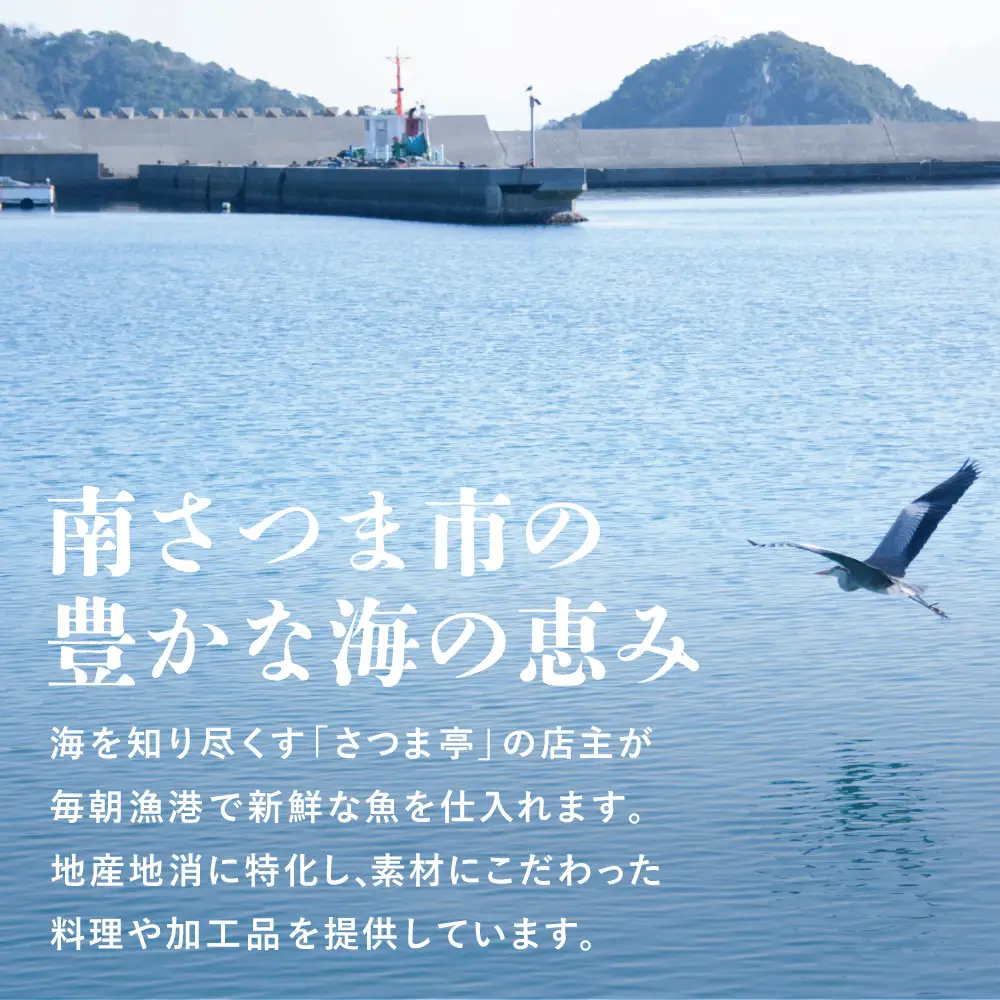 【希少 高級珍味】鹿児島県産 特撰からすみ（200g） 桐箱入り ギフト 高級カラスミ 焼酎磨き仕上げ 国産 ボラ子 おつまみ ボラコ ぼらこ 常温 保管 珍味 肴 贈り物 贈答用 南さつま市