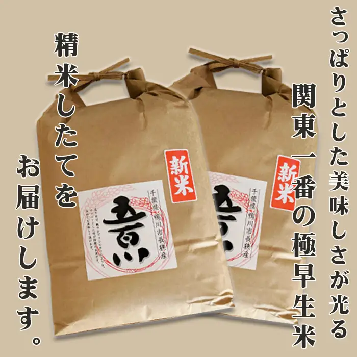 《令和７年産》【米屋新蔵】関東一の極早生米『五百川』10kg　[0032-0004]
