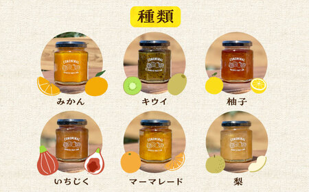季節の果実ジャム 3個（各120g） 長与町/アグリューム [EAI088]  瓶 セット ジャム じゃむ 季節の果実 果物 詰め合わせ フルーツジャム 国産 10000円 1万円