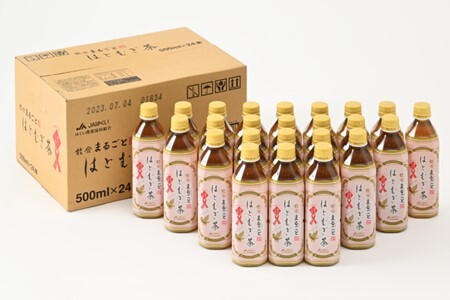 【12回定期便】 はとむぎ茶 ペットボトル 24本 ペットボトル