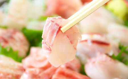 [日時指定必須]すぐ食べられる！地魚刺身盛り合わせ４～５人前 [0022-0005]