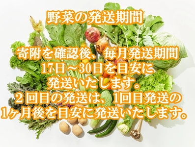 【2027年夏出荷開始・3回定期便】産地直送！高原の夏野菜セット(北海道・沖縄県・離島は配送不可) 長野 信州 無農薬 旬 季節 新鮮 詰合せ 直送〈2027年6月17日出荷開始～2027年8月28日出荷終了〉