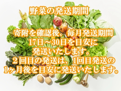 【5回定期便・10～2月出荷】産地直送！高原の秋冬野菜セット(北海道・沖縄県・離島は配送不可) 長野 信州 無農薬 旬 季節 新鮮 詰合せ 直送 先行予約＜出荷時期2026年10月17日以降出荷開始～2027年2月28日出荷終了＞