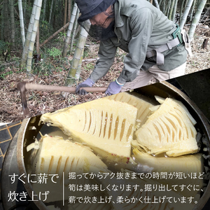 薪で炊いた柔らか仕立てのたけのこ水煮４袋