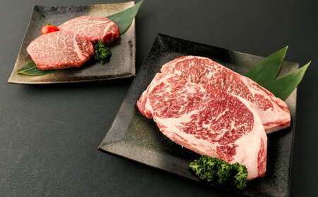 あか牛 サーロイン・ヒレ ステーキ 600g(サーロイン200g×2枚・ヒレ100g×2枚) 