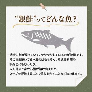 【特選】特盛一汐銀鮭切り身 約1.8kg さけ 魚介 魚 銀鮭 鮭 サケ しゃけ お弁当 おかず F4F-2250