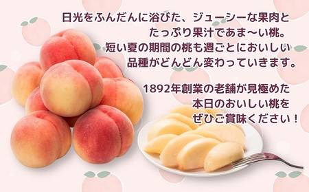【2026年先行予約】特秀品！桃　約4kg（12～16玉） 果物 フルーツ デザート 食後 国産 日本産 産地直送 ジューシー 果汁たっぷり 夏の果物 夏のフルーツ 