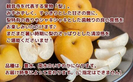 【2026年8月中旬より順次発送】特秀品！観音寺の梨（豊水・南水）約2kg 果物 フルーツ  デザート おやつ 食後 国産 日本産 産地直送 みずみずしい シャキシャキ 