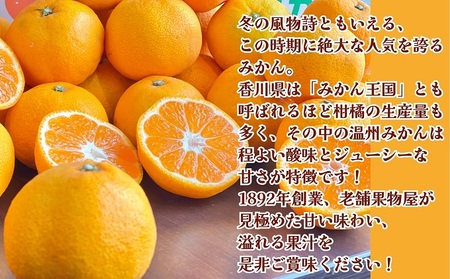 【2026年11月上旬より順次発送】極撰！温州みかん　約10kg 果物 柑橘 フルーツ 程よい酸味 ジューシー 甘い 国産 日本産 冬の味覚 冬の果物 冬のフルーツ 