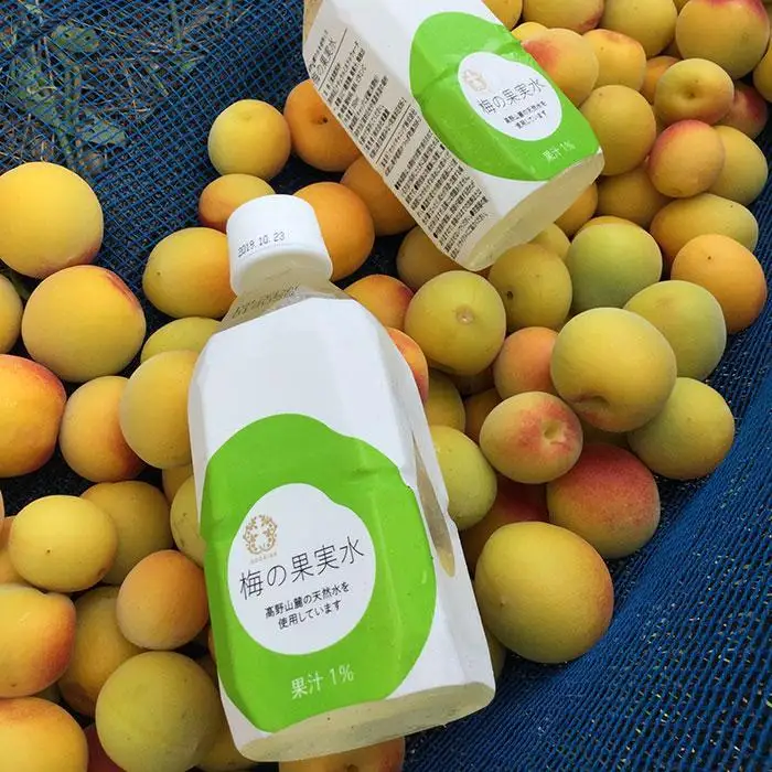 梅の果実水　350ｍｌ　24本 【受注後10日以内に発送します。但し、年末年始・お盆等・ＧＷは除きます。】