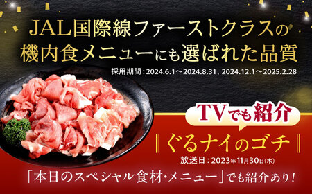 諫美豚切り落としひき肉セット計4.2kg / 豚 豚肉 切り落とし ひき肉 小分け / 諫早市 / 株式会社土井農場 [AHAD059]