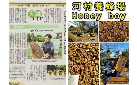 蜂蜜 ハニーボーイ　国産　蜂蜜 3種類セット  