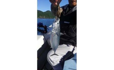 遊漁船 あゆ丸　船釣り体験券【１名様】（エサ・氷付き） 高知 久礼 釣り 体験 魚 エサ 氷 