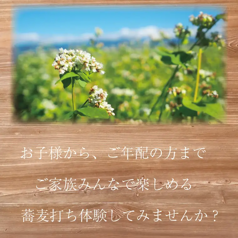 【体験型返礼品】生そば打ち体験（EV-1）