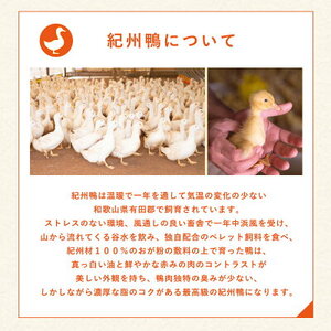 AK6008_紀州鴨 セット ( ロースブロック1kg  モモブロック600g )※到着希望日（時期）指定不可