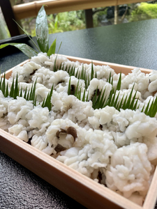 鱧おとし 30切れ 酢みそ・梅肉付 京都 鱧 ハモ はも