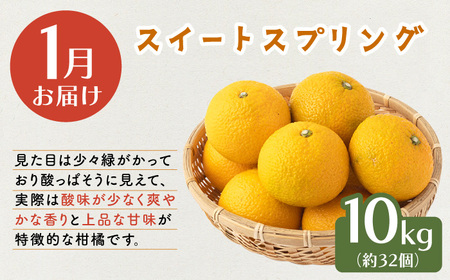 【3回定期便】みかん 3種 食べ比べ [OCU005] / みかん 