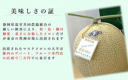 【通年出荷】 高級 マスクメロン 白級 1玉  化粧箱入 