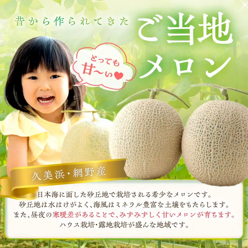 【メロン】訳あり 砂丘メロン 1玉 | 2026年