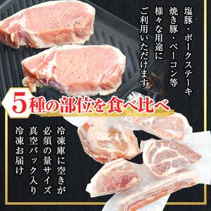鹿児島県産 天恵美豚 BBQ ブロック セット 豚バラ ロース 肩ロース モモ ウデ 豚肉 (計6kg) 【アグリおおすみ】D28-v01