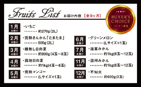 青果店厳選！「くだもの定期便Vol.1」(全9回) いちご きんかん 日向夏 マンゴー メロン みかん 不知火
