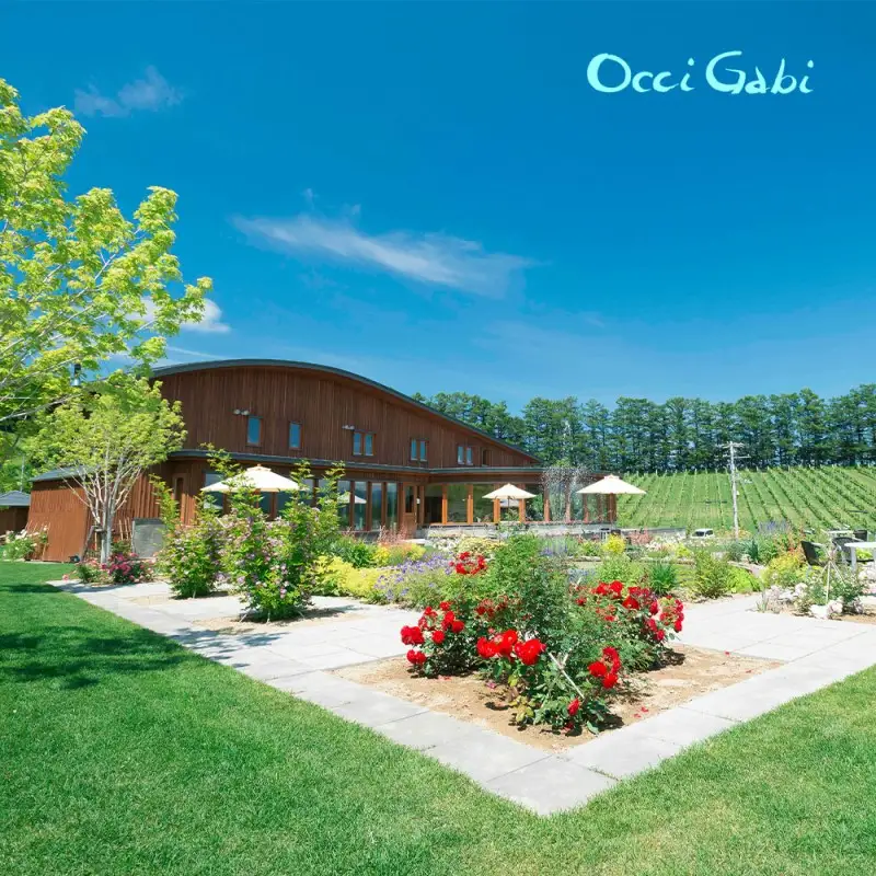 【OcciGabi Winery】オチガビ・【全12回定期】リピーター続出！ルージュ・スパークリング・ワイン毎月お届け 【余市のワイン】 赤ワイン スパークリングワイン 余市のワイン 北海道のワイン 日本のワイン 定期便 _Y012-0091