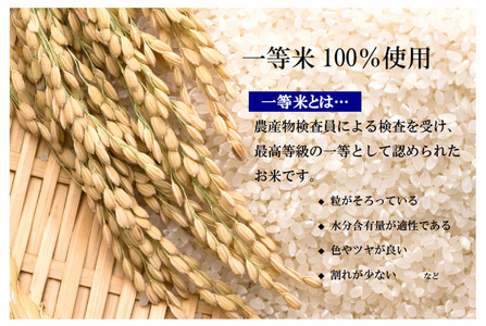 【令和7年産】栃木県産こしひかり10kg（精米・5kg×2袋）　※離島への配送不可