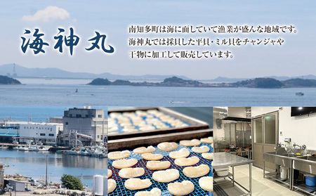 海神丸 平貝 貝ひも チャンジャ 100g × 2袋 パック 小分け 冷凍 海鮮 魚介 海の幸 貝 塩辛 ご飯 ごはん おかず 愛知県 チャンジャ