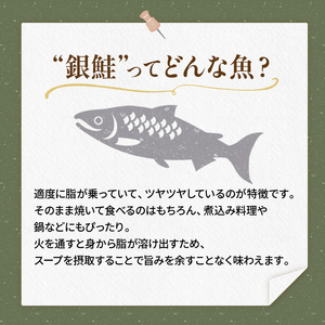 【特選】特盛銀鮭切り身 約2.4kg サケ さけ 銀鮭 ぎんしゃけ ご飯のお供 北海道 海産物 魚 お弁当 おかず 朝食 F4F-2251