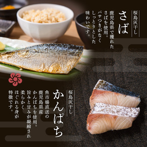 桜島灰干し 5種詰合せ K178-001 魚 冷凍