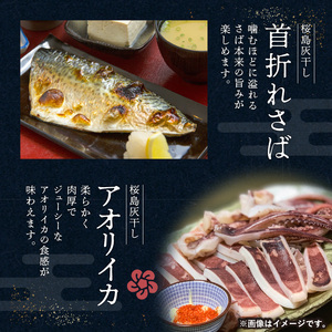 桜島灰干し 5種詰合せ【特選】 K178-002 魚 冷凍