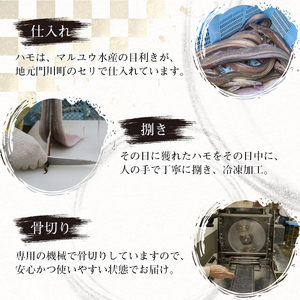 鱧三昧セット(合計480g・3種×各2P)はも ハモ 湯引き タタキ たたき 骨切り 海鮮 おつまみ 梅肉 酢みそ 酢味噌 タレ たれ 国産 小分け 冷凍 魚介 食べ比べ 詰め合わせ 詰合せ 宮崎県産【MR-6】【マルユウ水産】