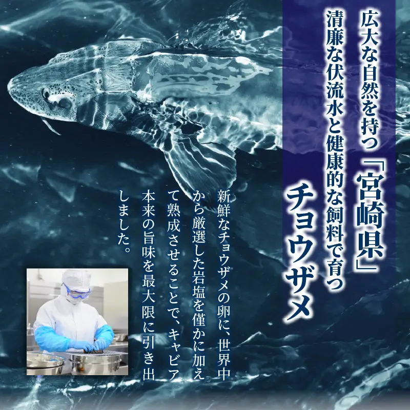 【訳あり】宮崎県産キャビア 詰め合わせ 合計200g 魚卵 キャビア ギフト
