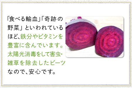 【季節限定品】あまくて真っ赤なビーツ2.5㎏【ビーツ 食べる輸血 奇跡の野菜  健康野菜 スーパーフード カエンサイ ボルシチ ポタージュ スムージー スイーツ ビタミン】