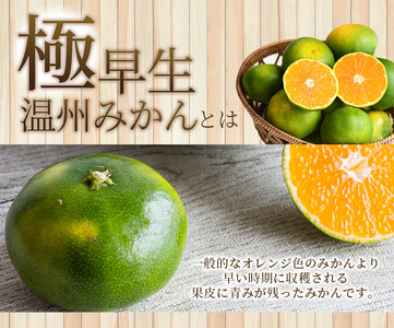  訳あり みかん 極早生温州みかん 約6.5kg サイズおまかせ 【njb690C】