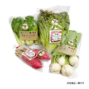有機野菜おまかせ4種セット０６ 有機野菜 おまかせ 4種 セット 新鮮 九州屋ファーム 明野 山梨県 北杜市  [h216]