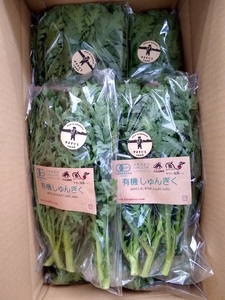 有機野菜おまかせ8種セット０７ 有機野菜 おまかせ 8種 セット 新鮮 九州屋ファーム 明野 山梨県 北杜市   [h216]