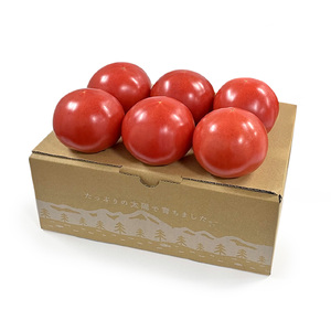 明野とまとと有機野菜おまかせ4種セット０４ トマト 約1kg 有機野菜 おまかせ 4種 セット 新鮮 九州屋ファーム 明野 野菜 山梨県 北杜市 [h216]