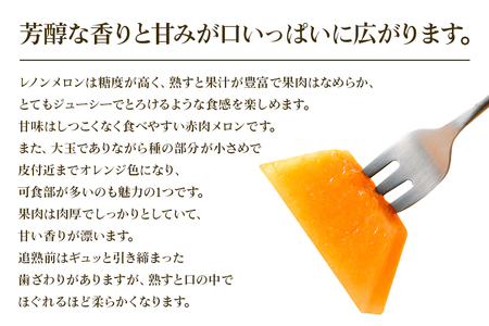 【数量限定・先行予約】 おみたまレノンメロン 赤肉 約5kg 4玉～5玉 秀品 【7月11日まで受付・6月以降順次発送予定】 52-A