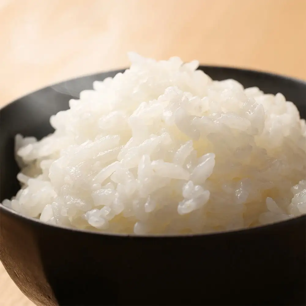 即納【令和7年産米】こしひかり 10kg すがたらいす 2025年産 米 こしひかり 【51-6】