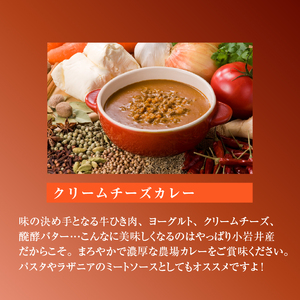 小岩井農場 厳選素材 カレー ディナー セット 6食 ／ 人気 ビーフカレー カレーライス カリー レトルトカレー レトルト 中辛 クリームチーズ チーズカレー 2種類 食べ比べ お取り寄せ ギフト プチギフト 贈答用 贈り物 プレゼント お祝い 国産 ビーフ 牛肉 お土産 手土産 誕生日 記念日 常温発送 おすすめ