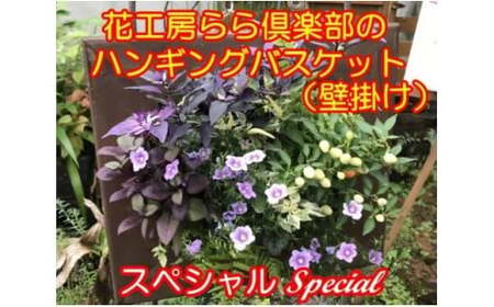 東北最大級のガーデニング専門店 厳選 『ハンギングバスケット』スペシャル 壁掛けタイプ 12種類 ～ 14種類 【花工房らら倶楽部】 花 生花 フラワー 植物 観葉植物 バスケット 季節 インテリア ガーデニング 庭 玄関 ベランダ 国産 産地直送 期間限定 人気 おすすめ 予約 早期予約 先行予約