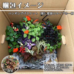 東北最大級のガーデニング専門店 厳選 『ハンギングバスケット』雅 壁掛けタイプ 8種類 ～ 10種類 【花工房らら倶楽部】 花 生花 フラワー 植物 観葉植物 バスケット 季節 インテリア ガーデニング 庭 玄関 ベランダ 国産 産地直送 期間限定 人気 おすすめ 予約 早期予約 先行予約
