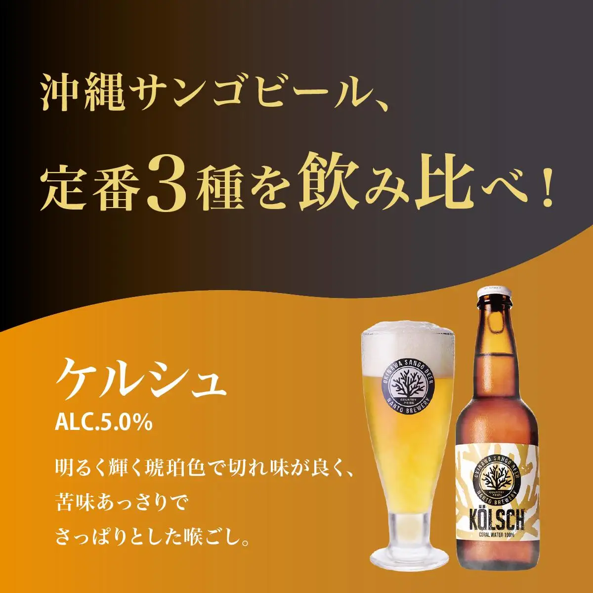 沖縄サンゴビール 定番3種 24本セット   