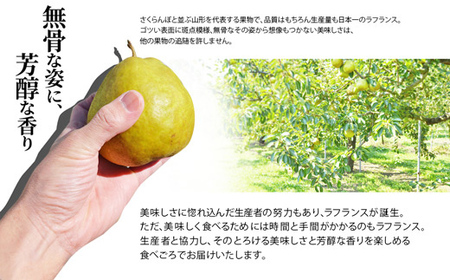 【2026年度先行予約】山形県産 訳あり ラ・フランス 5kg なし ナシ 梨 デザート フルーツ 果物 くだもの 果実 食品 山形県 FSY-0725