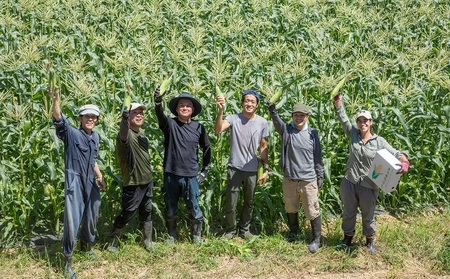 とうもろこし 桃太郎コーン うしまどんな 約4kg 8～12本入り 食べ比べ とうもろこし