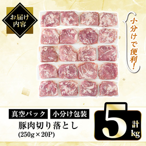 豚肉 切り落とし 小分け 250g×20P 計5kg【肉の豊楽】A5-033-D