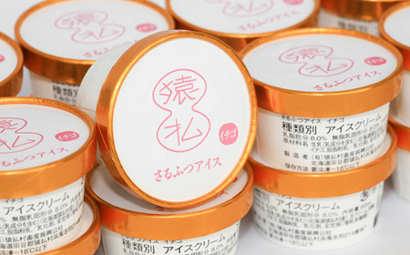 さるふつ牛乳アイスクリーム イチゴ10個セット【03031】